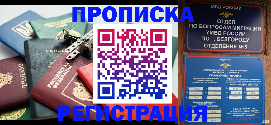 временная регистрация недорого в Бологом